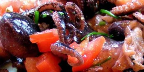 Antipasti-insalta di moscardini