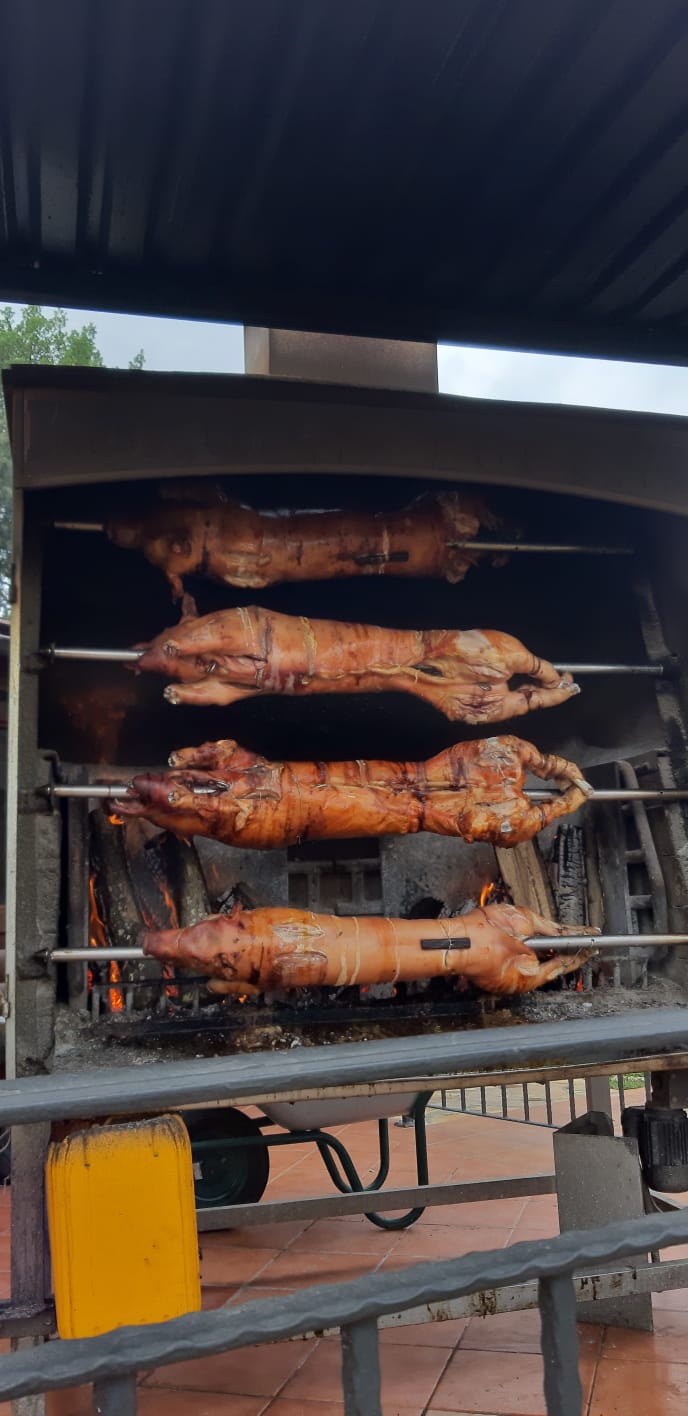 MAIALINO AL FORNO biella