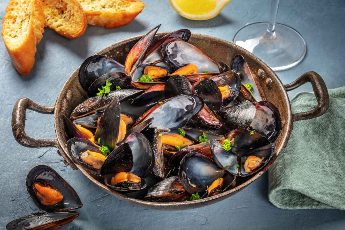 COZZE ALLA MARINARA biella