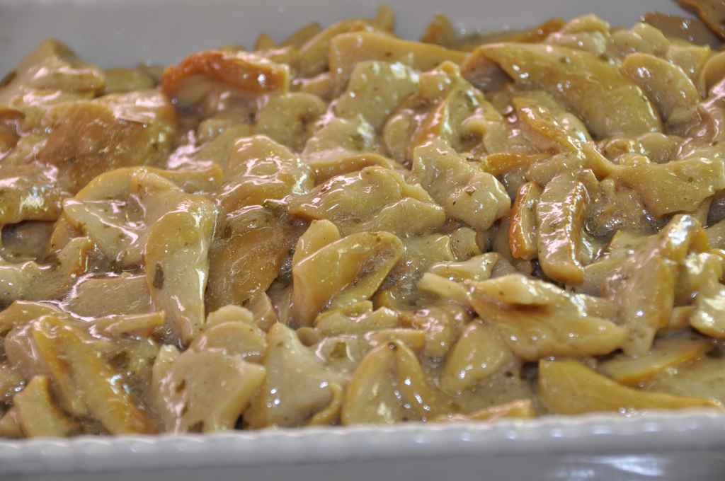 FUNGHI PORCINI TRIFOLATI biella